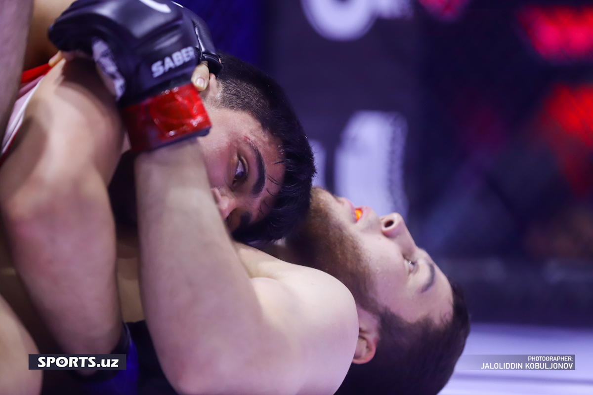 MMA Octagon&U1 3-galereya