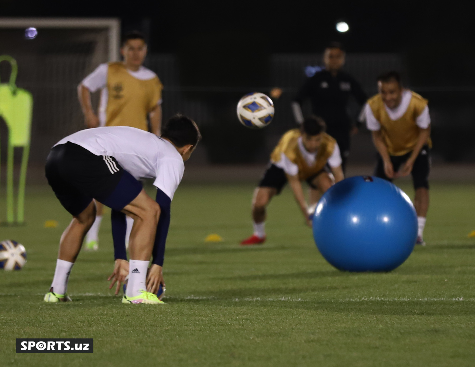 Nasaf trenka 21.04
