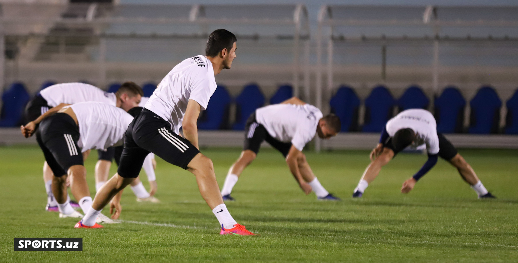 Nasaf 22.04