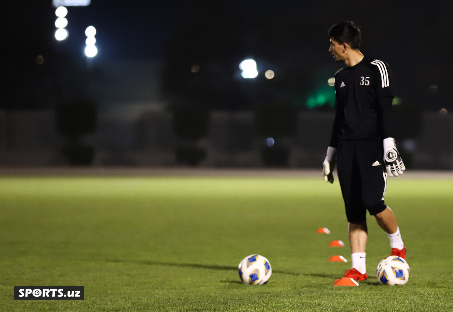 Nasaf 22.04