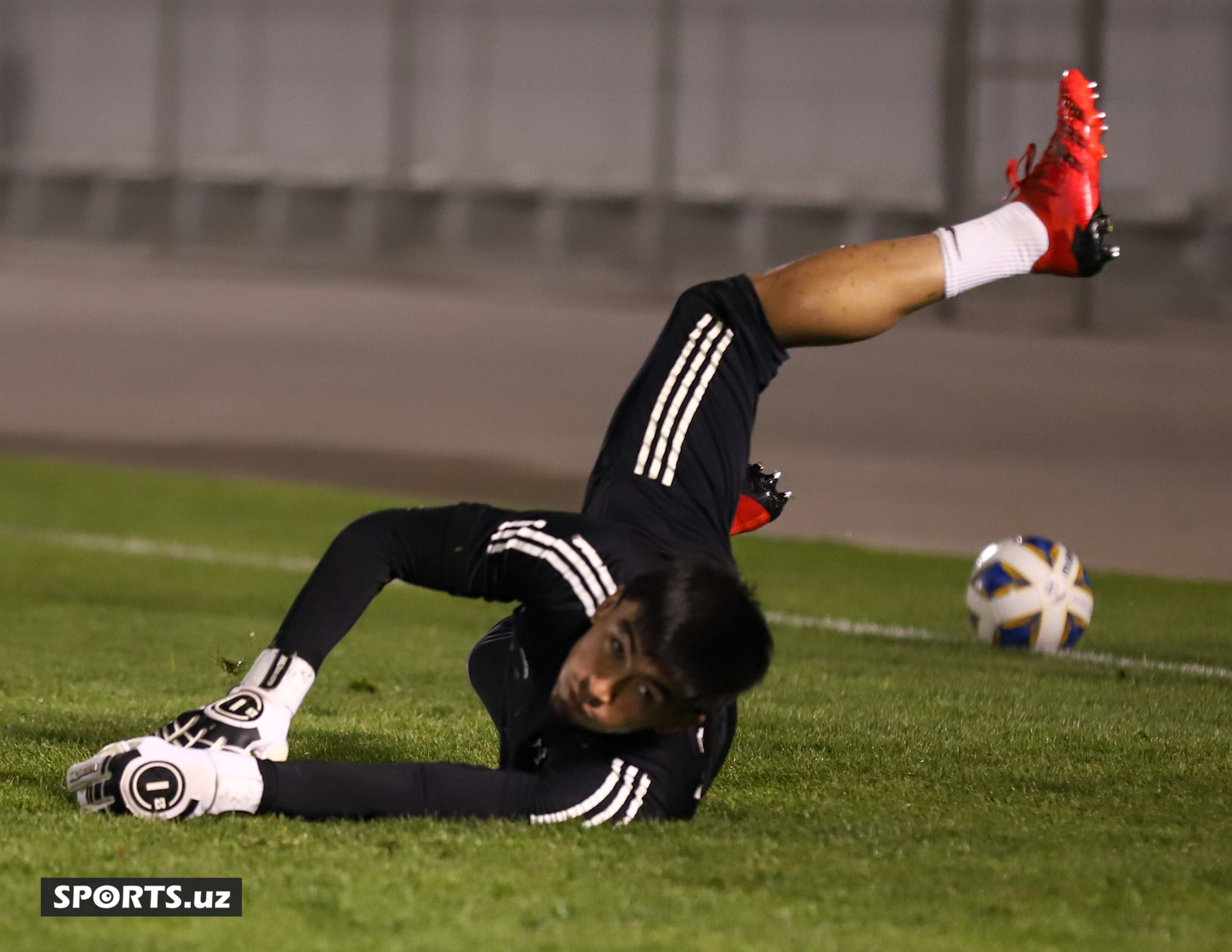 Nasaf 22.04