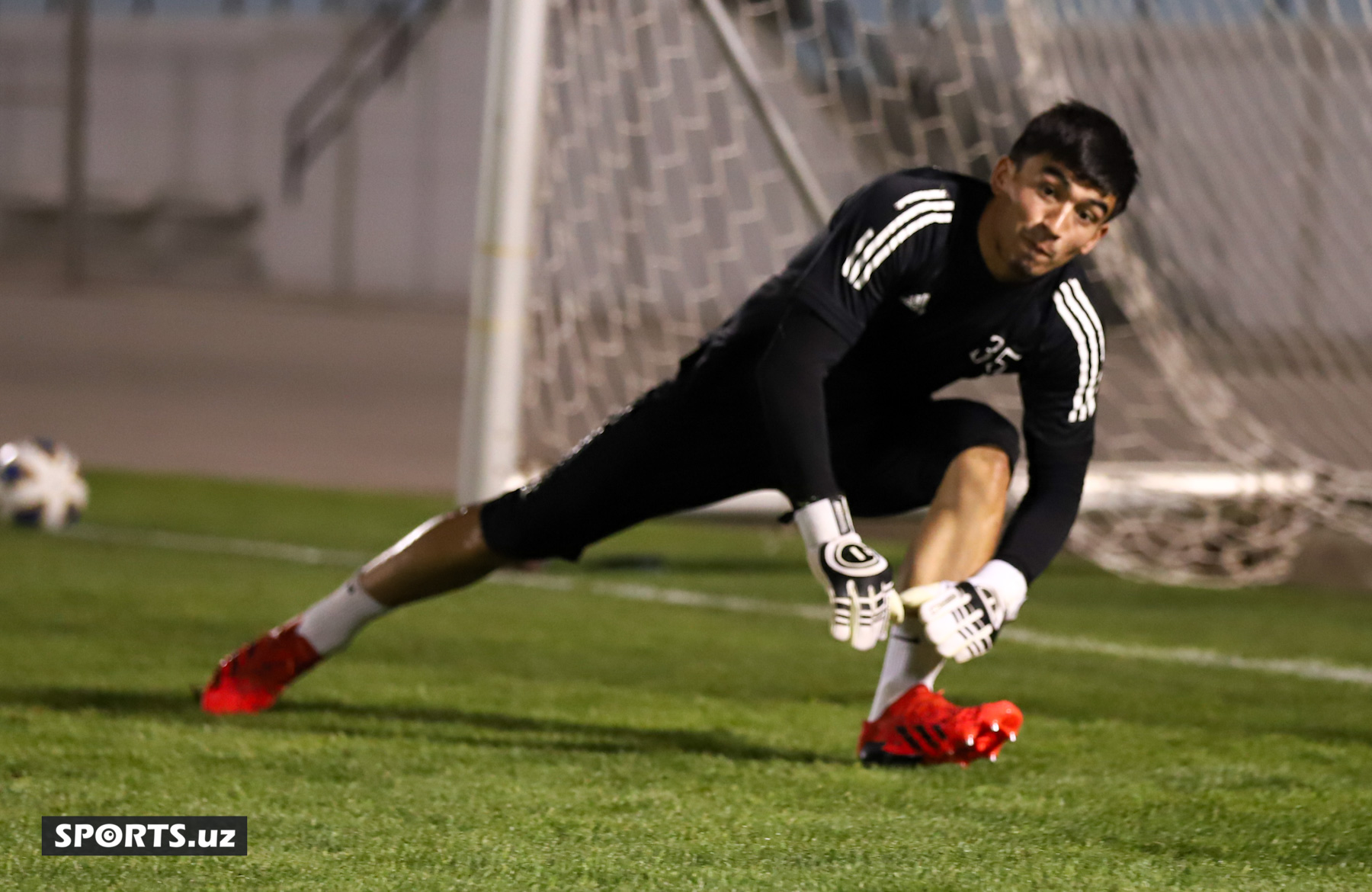 Nasaf 22.04