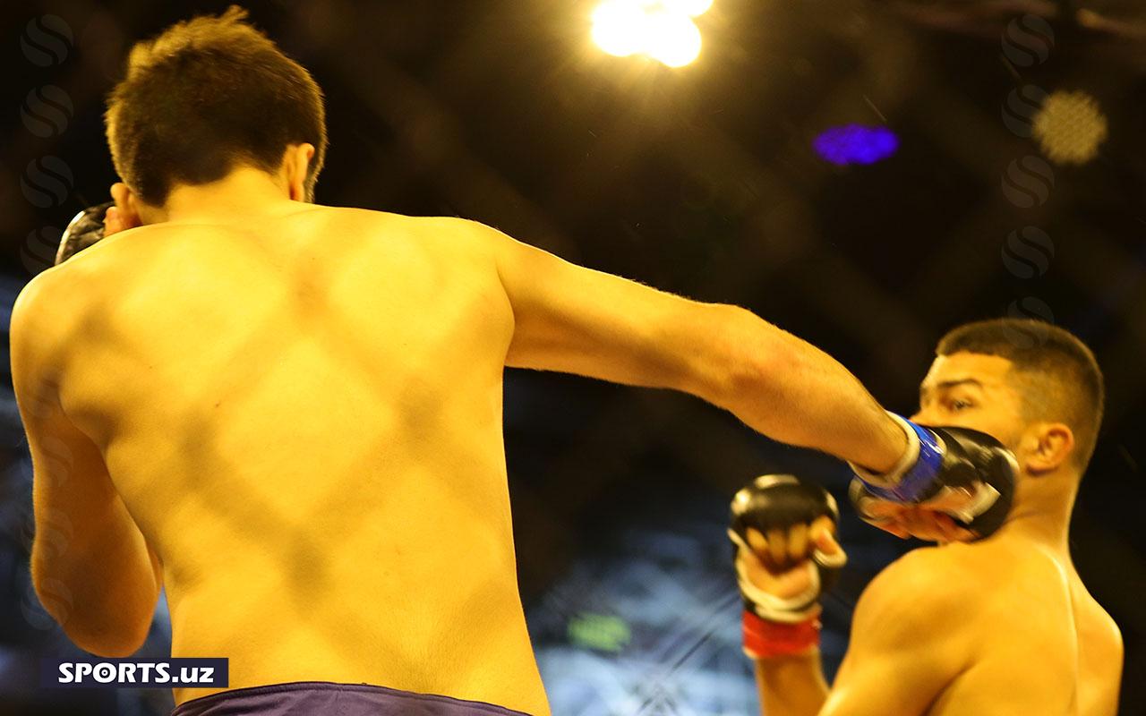 Muradov Professional League5