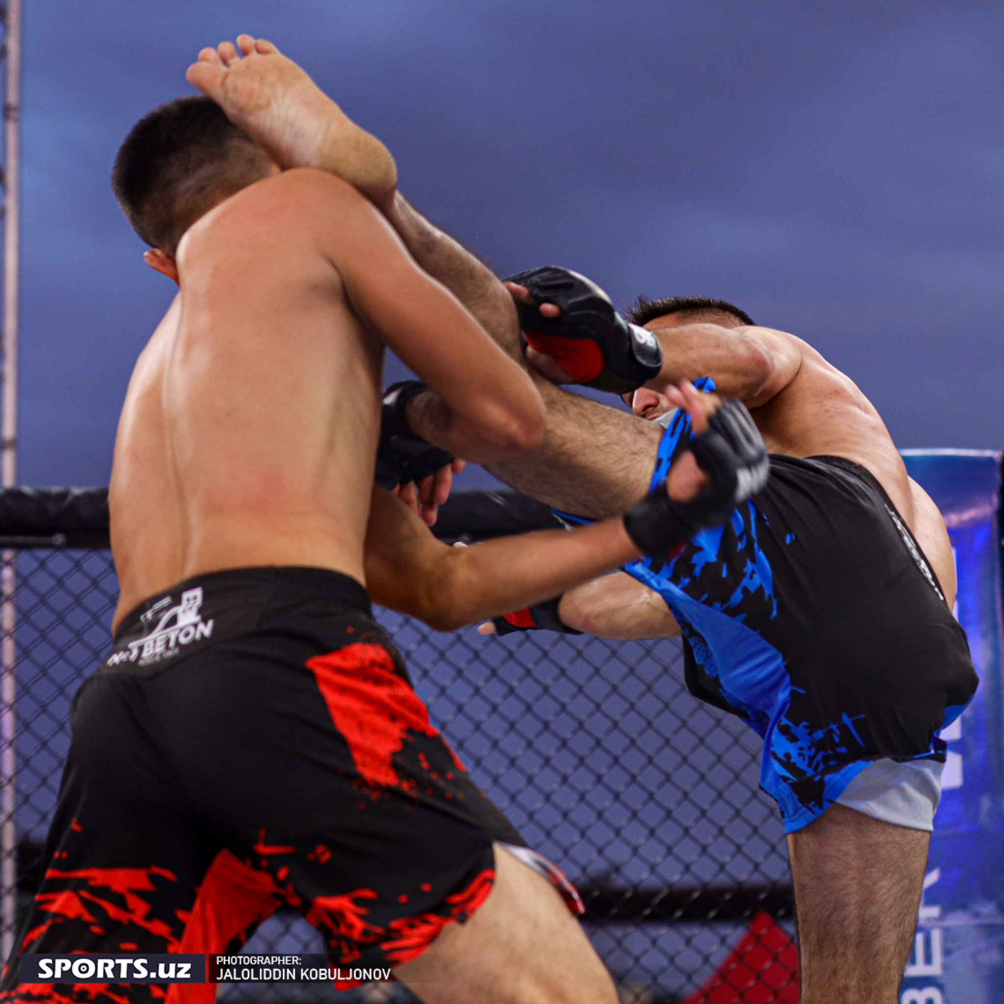 WEF-Patriot MMA