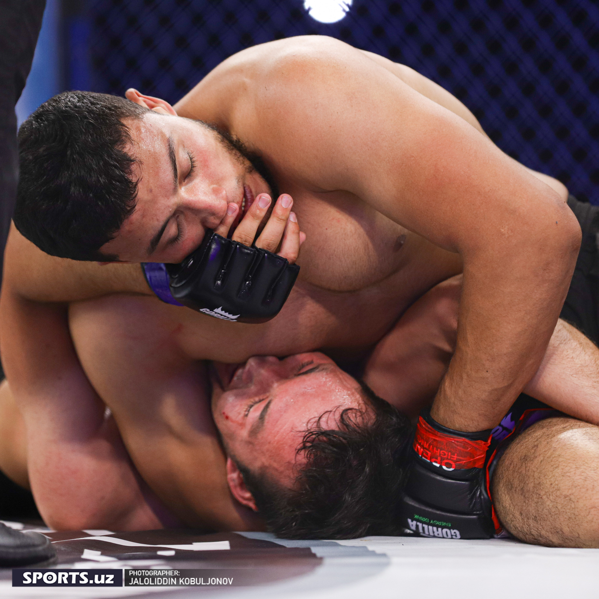 WEF-Patriot MMA