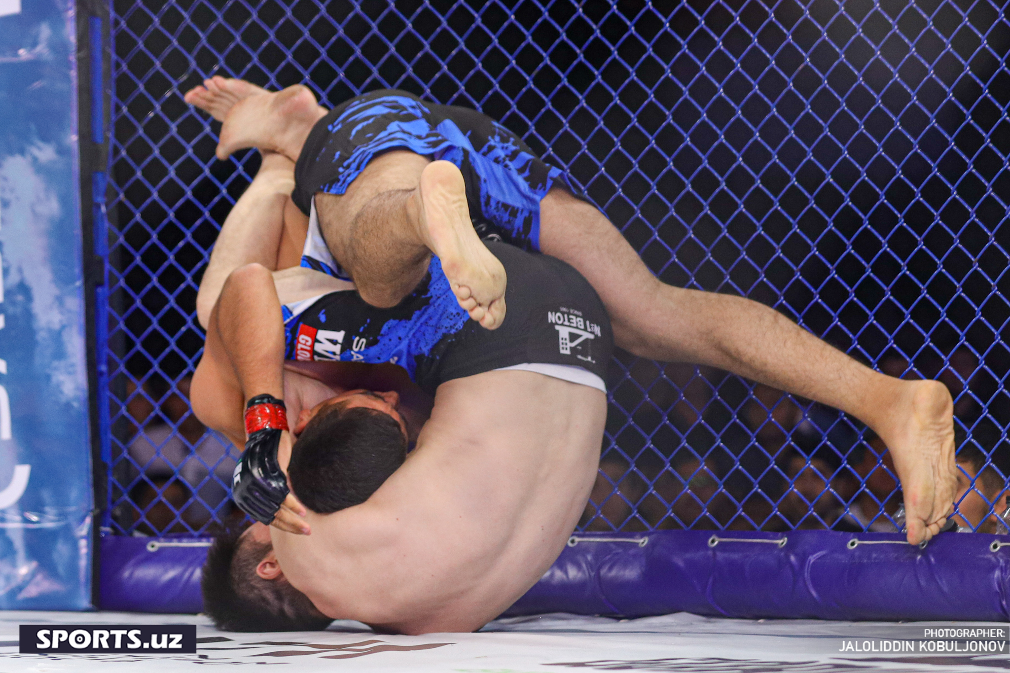 WEF-Patriot MMA