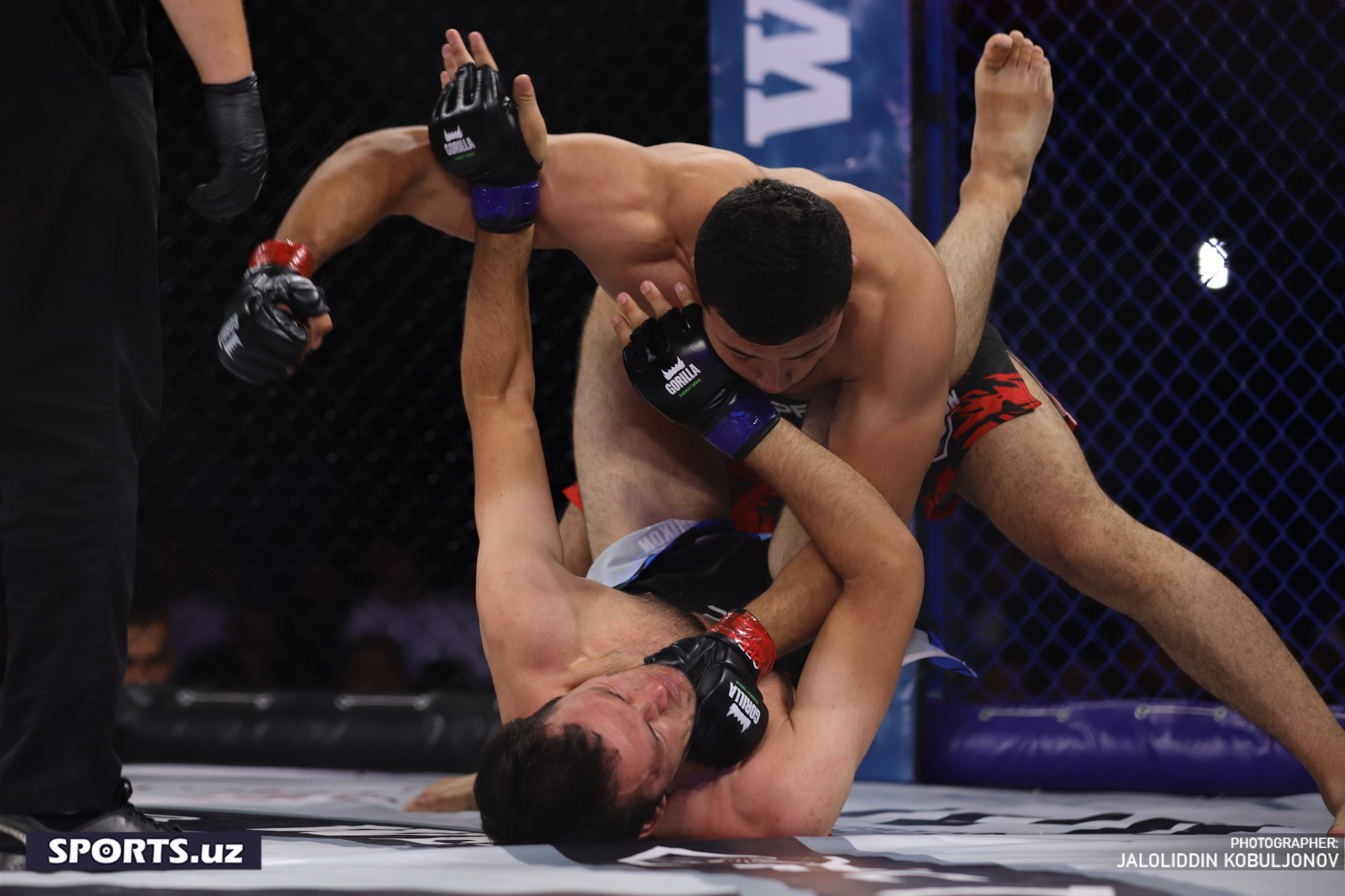 WEF-Patriot MMA