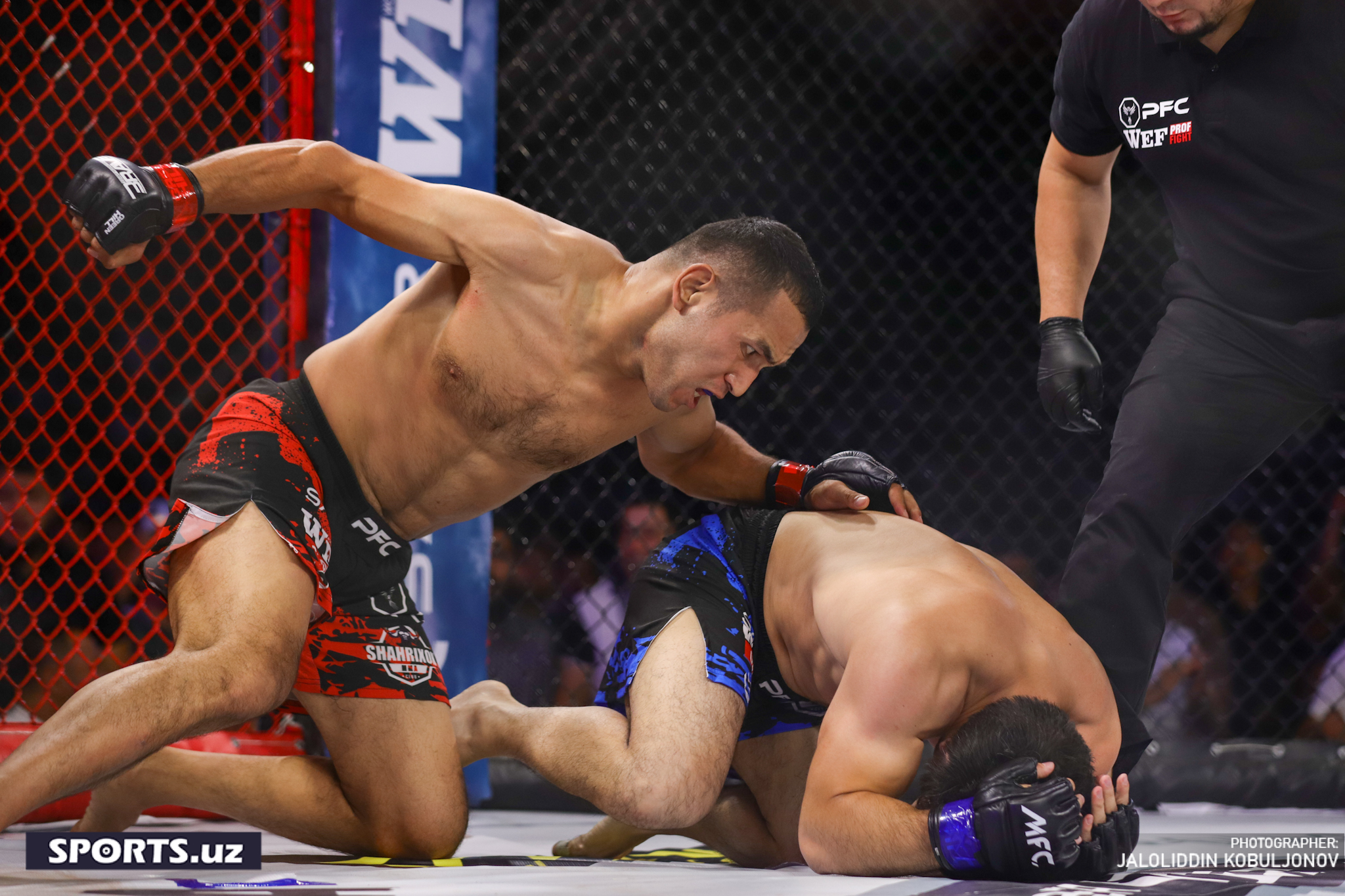 WEF-Patriot MMA