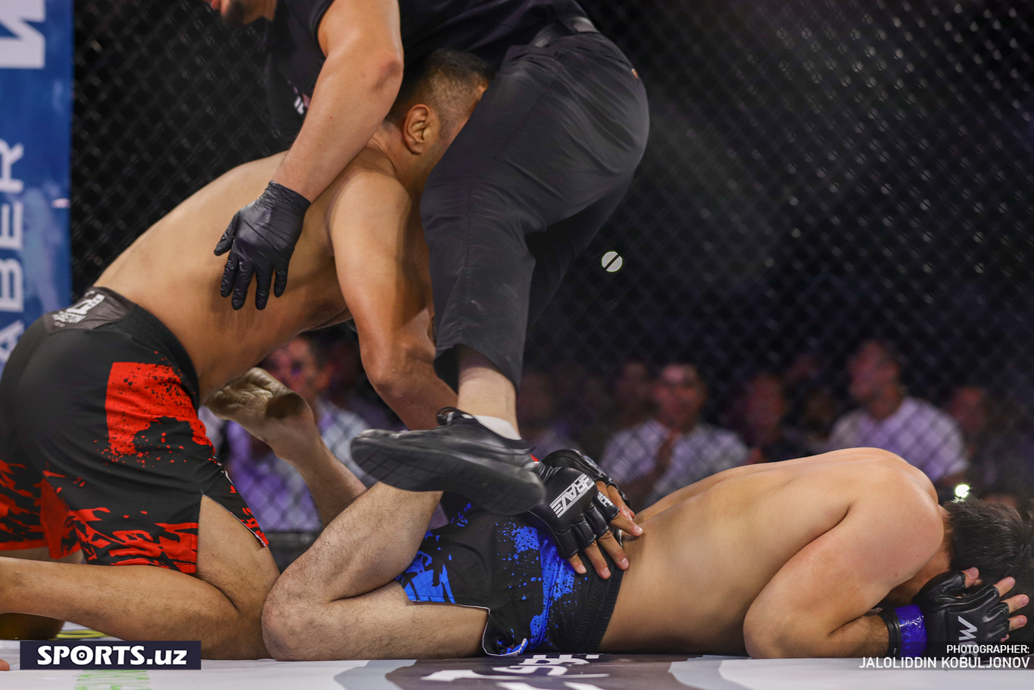 WEF-Patriot MMA