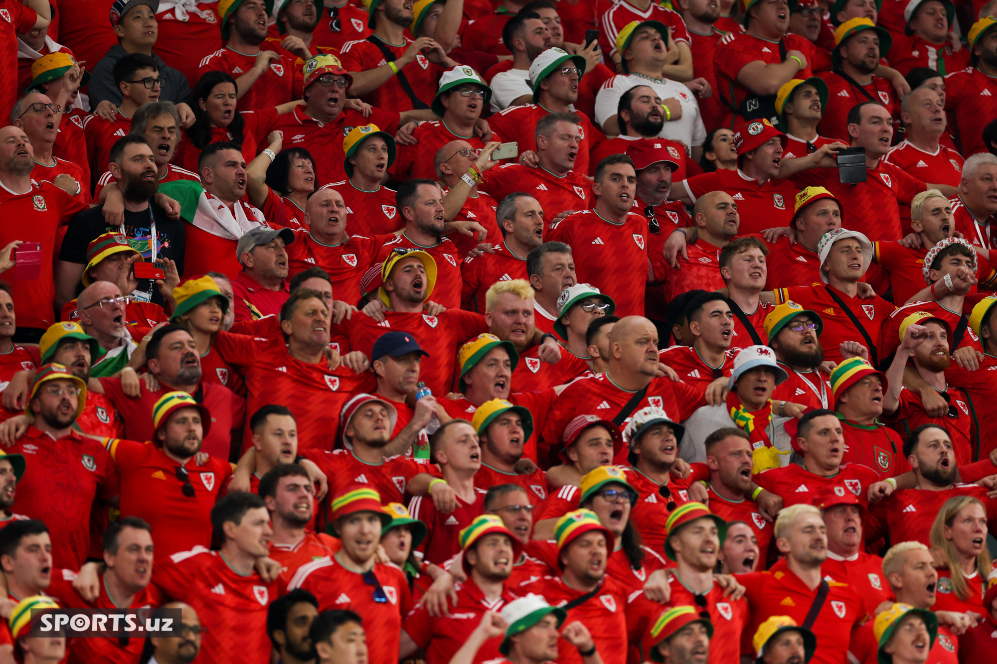 WC USA vs Wales