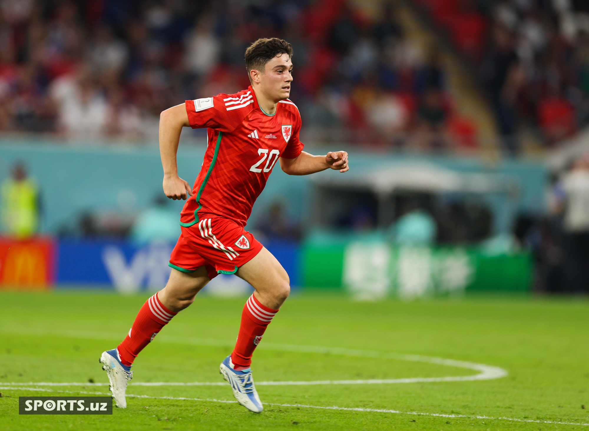 WC USA vs Wales