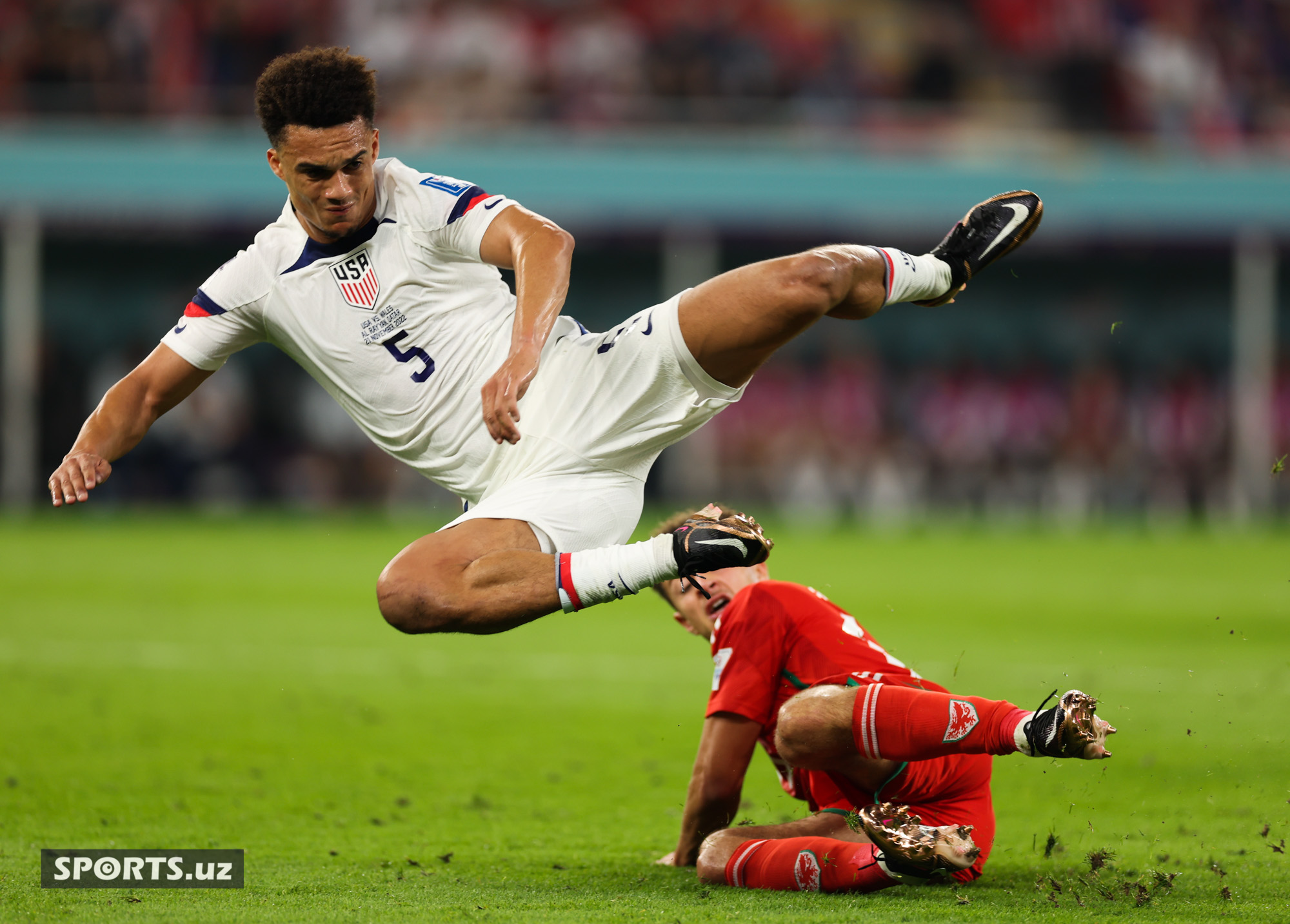 WC USA vs Wales
