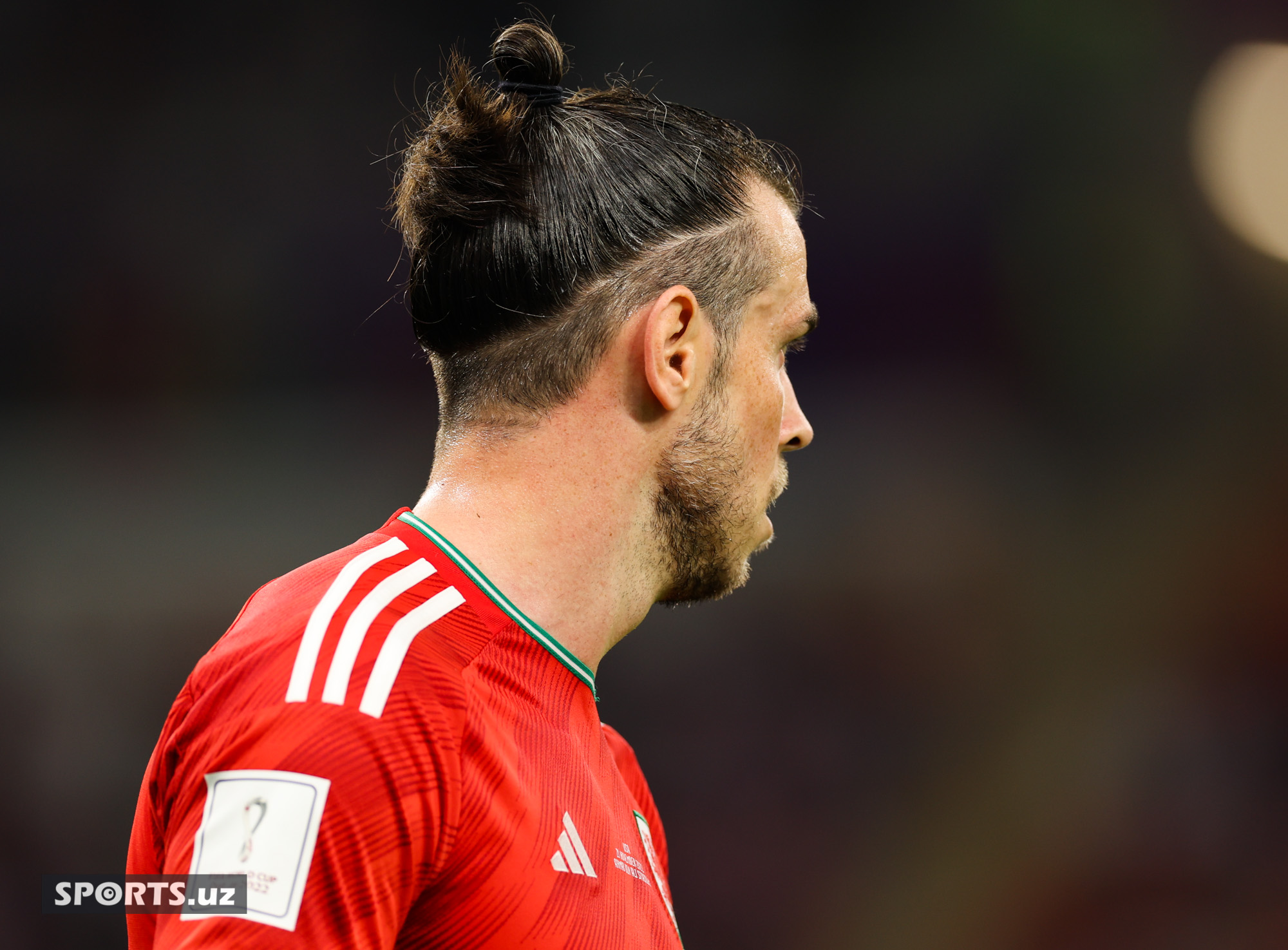 WC USA vs Wales