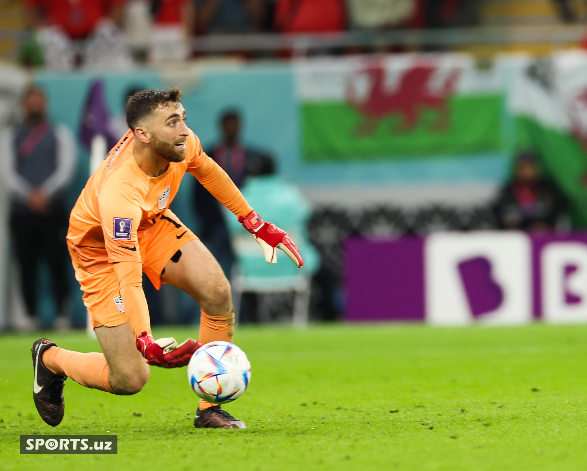 WC USA vs Wales
