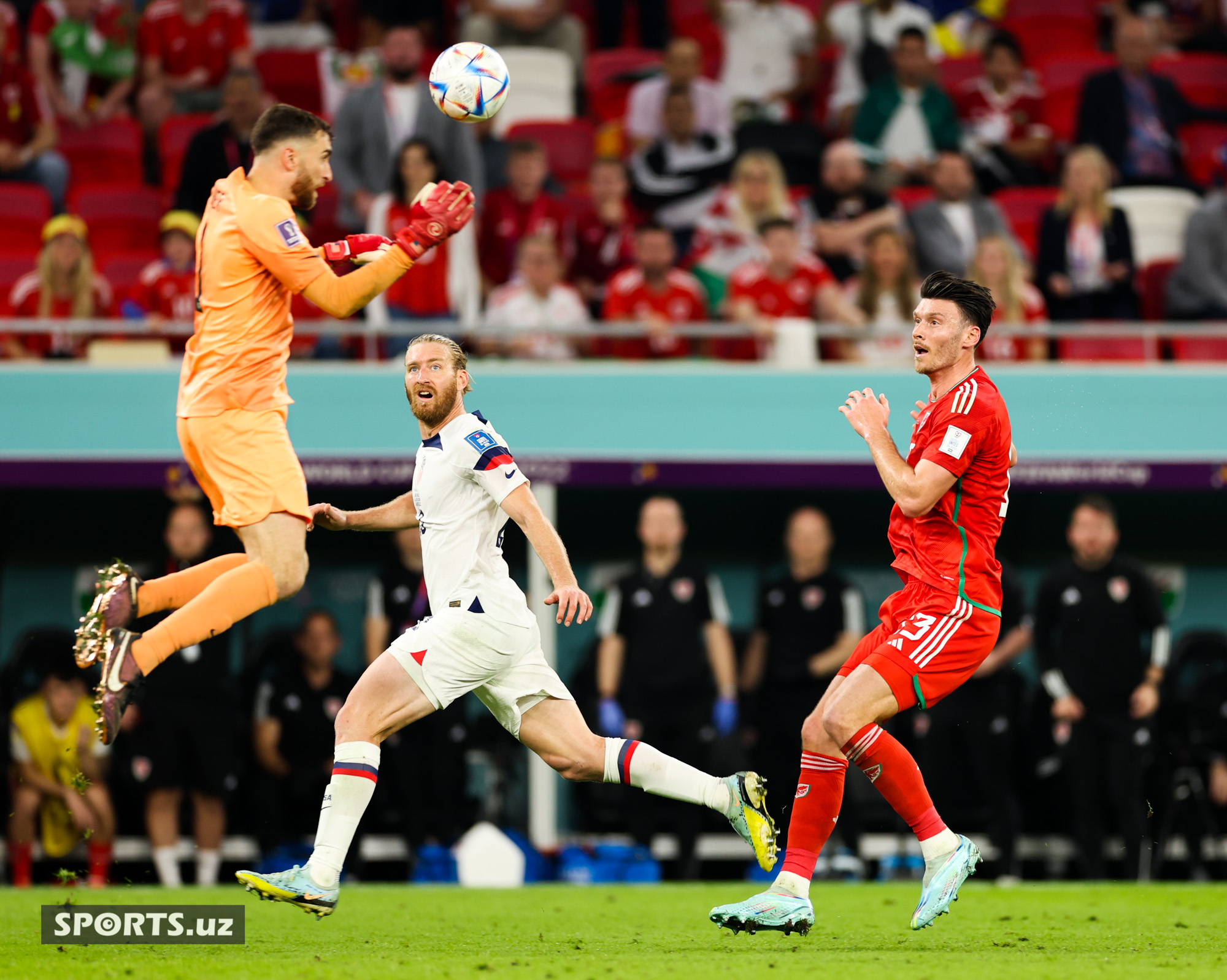 WC USA vs Wales