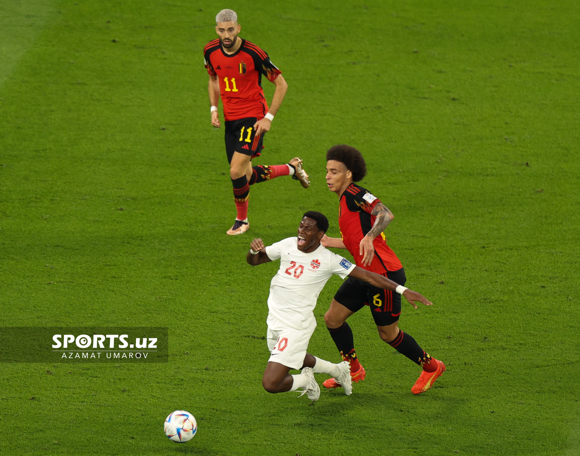 WC Belgium vs Canada