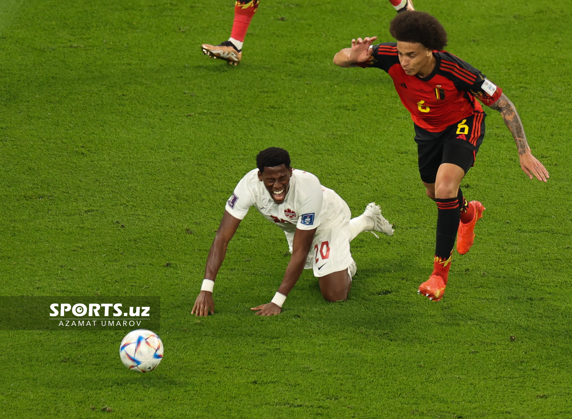 WC Belgium vs Canada