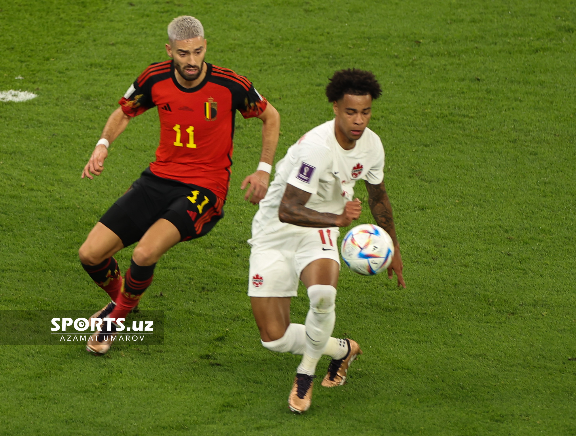 WC Belgium vs Canada