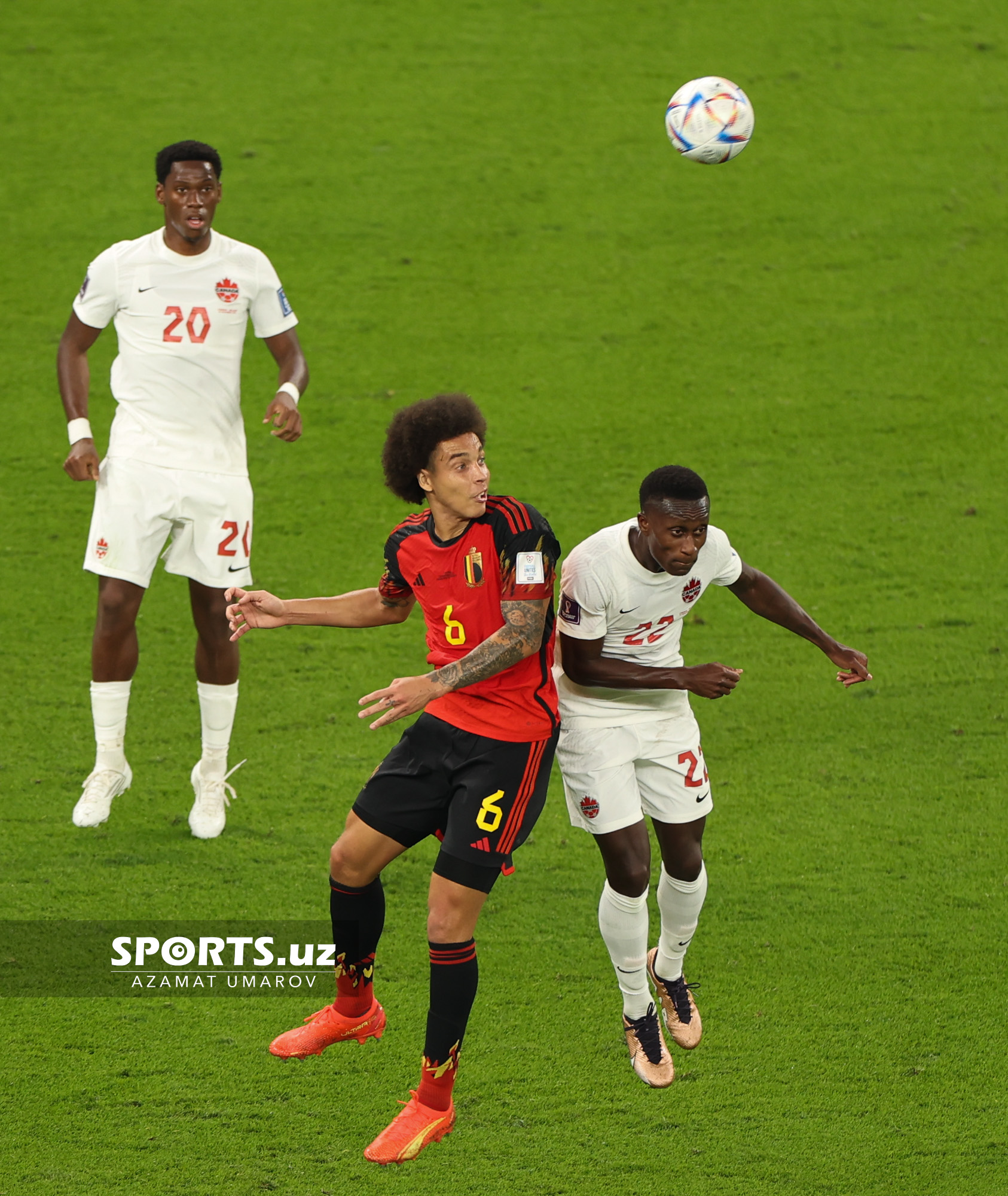 WC Belgium vs Canada