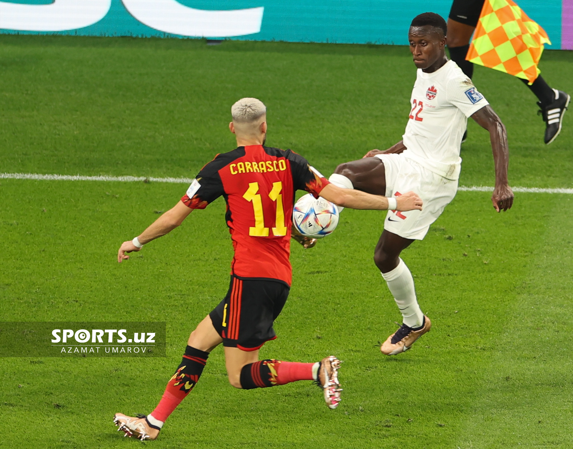 WC Belgium vs Canada