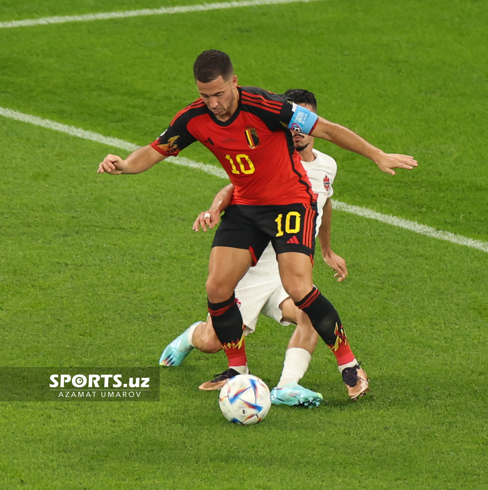WC Belgium vs Canada