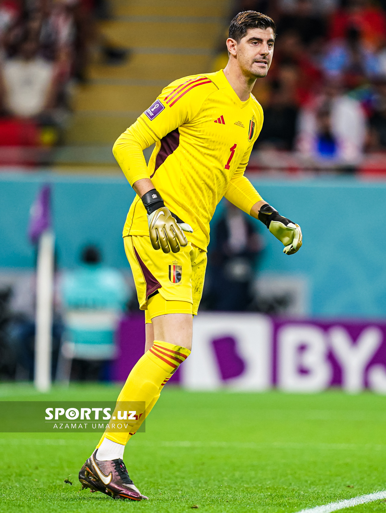 WC Croatia vs Belgium