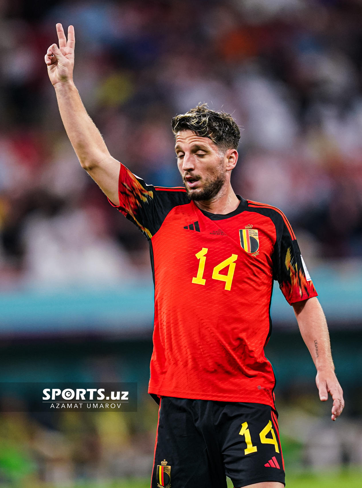 WC Croatia vs Belgium