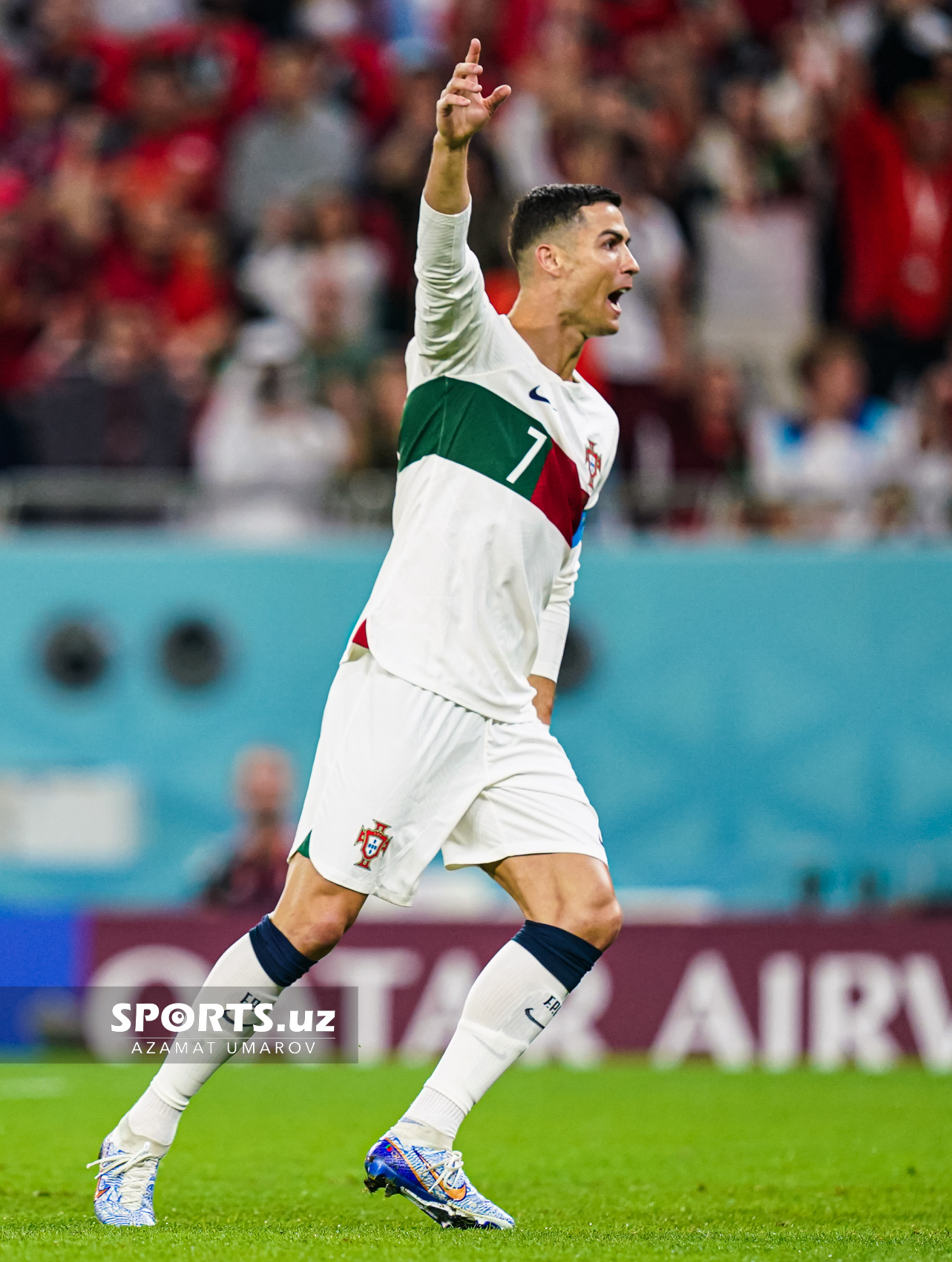 WC Korea Republic vs Portugal