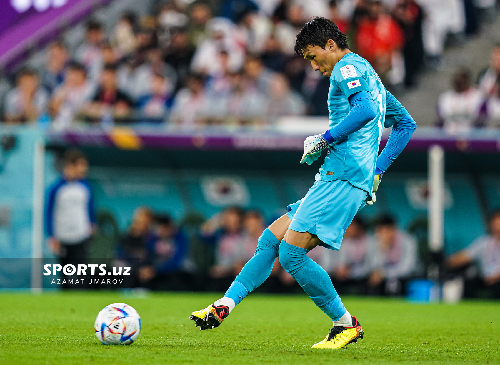 WC Korea Republic vs Portugal