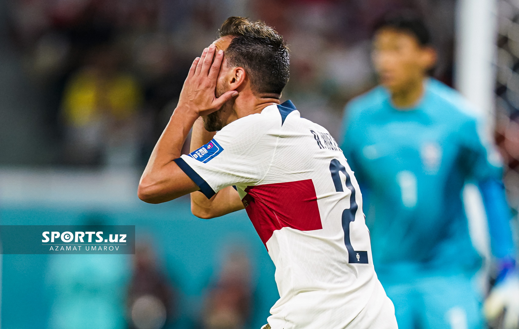 WC Korea Republic vs Portugal