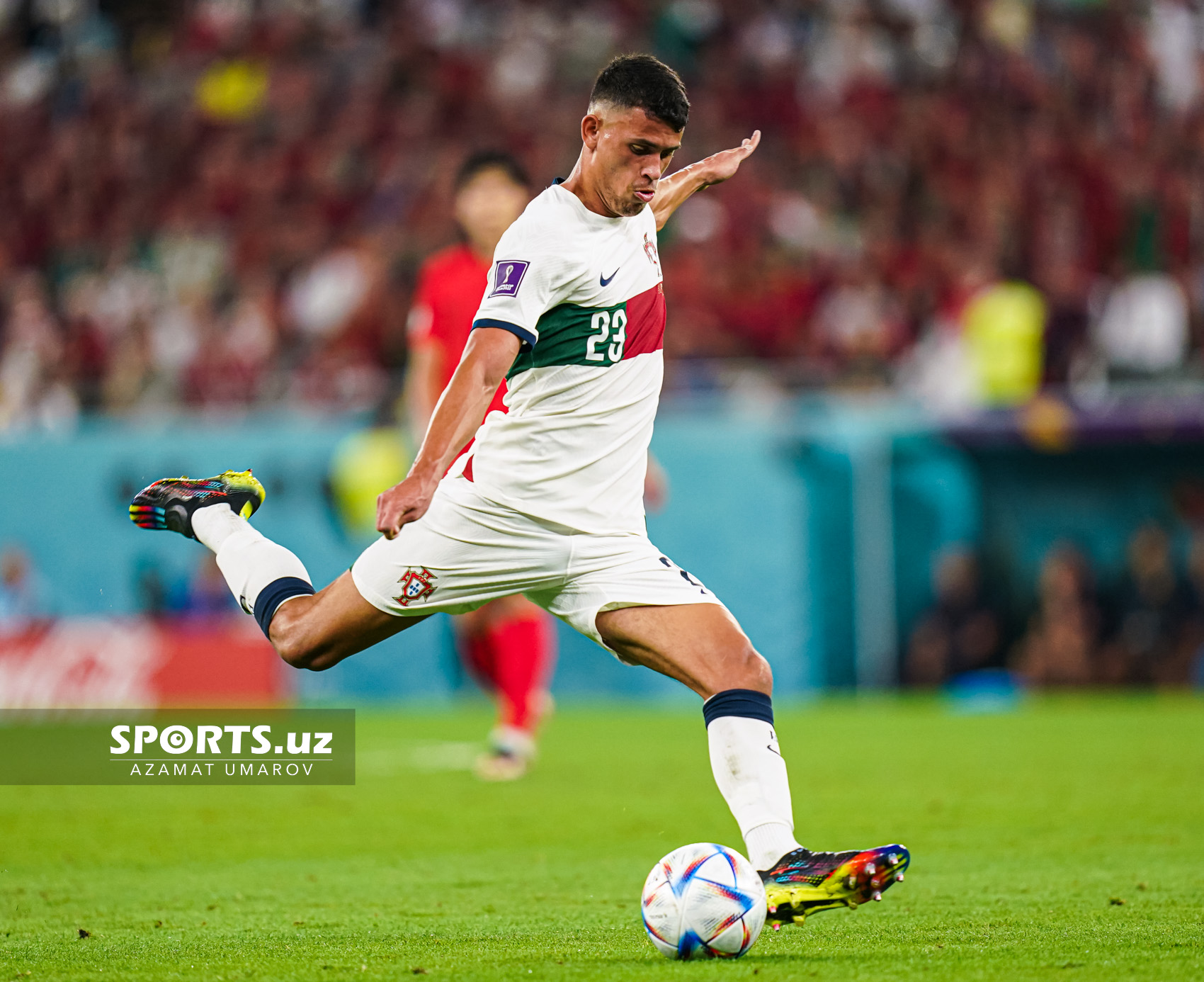 WC Korea Republic vs Portugal