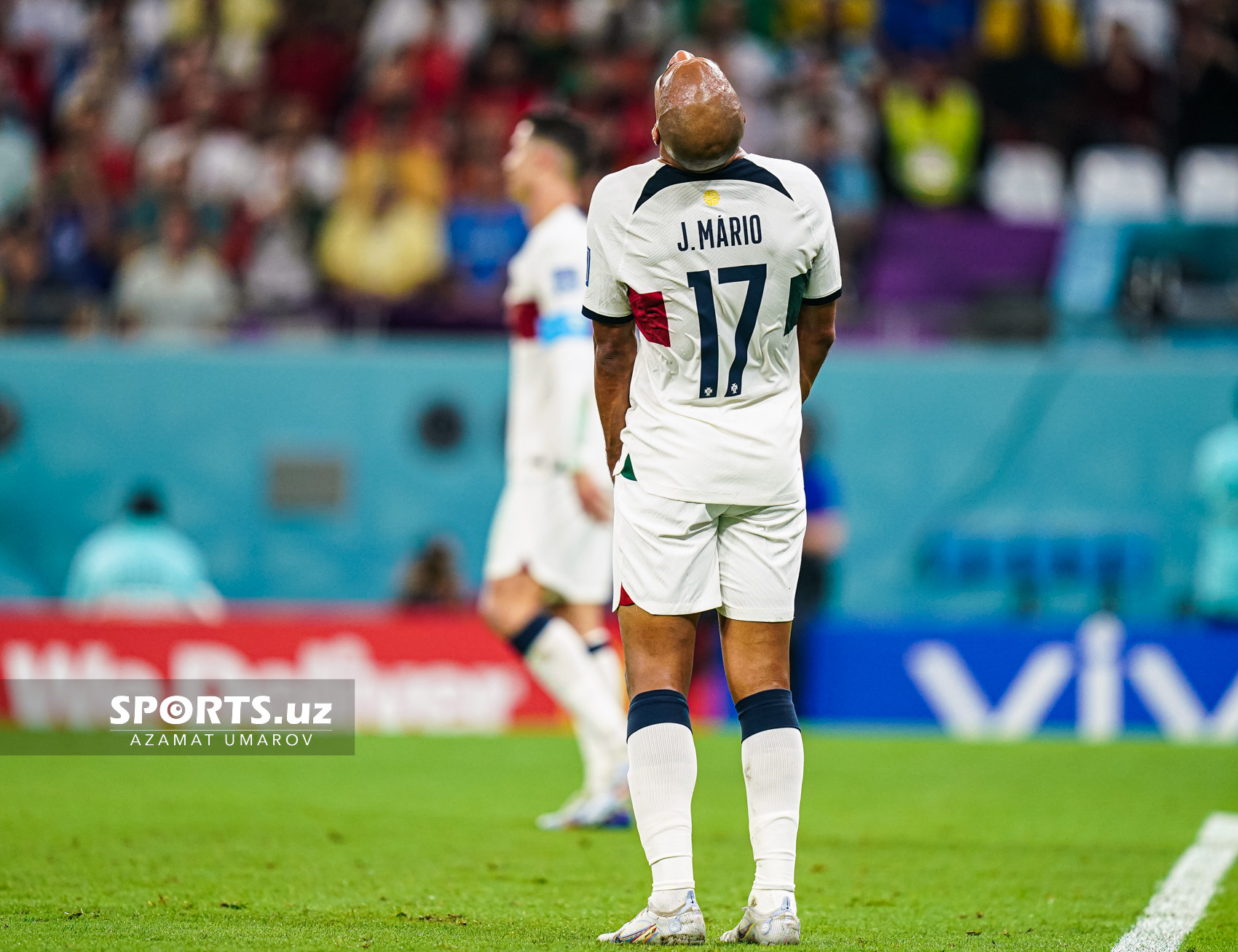 WC Korea Republic vs Portugal