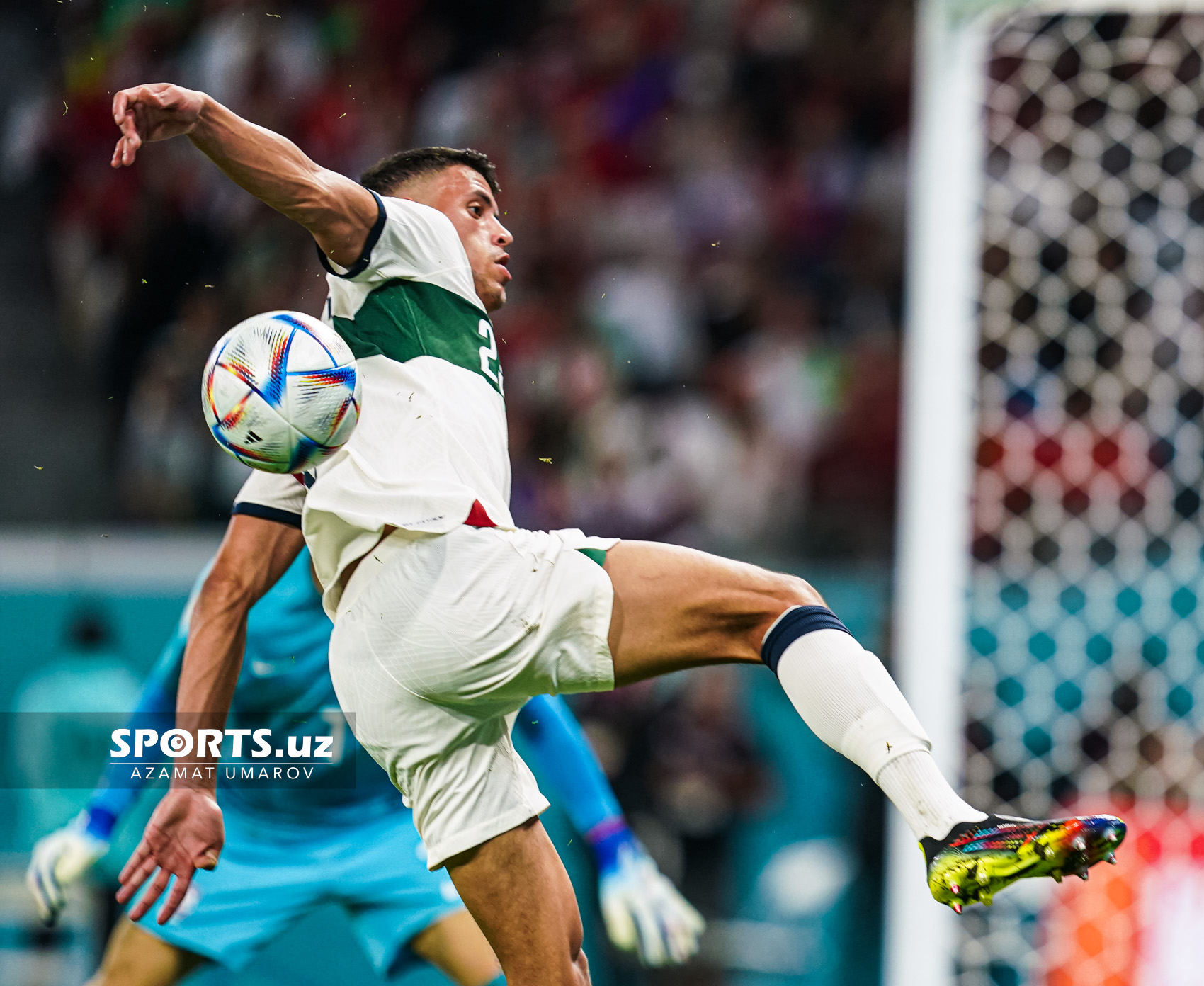 WC Korea Republic vs Portugal
