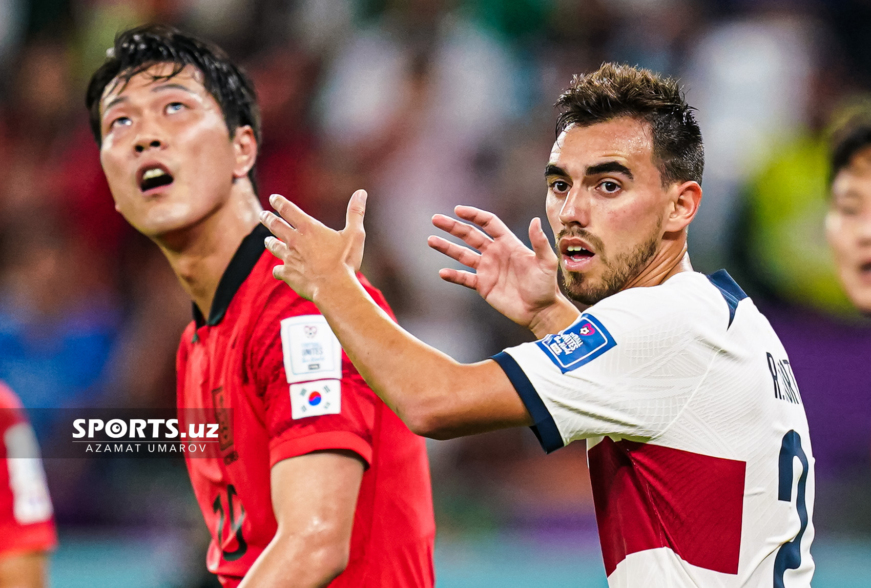 WC Korea Republic vs Portugal