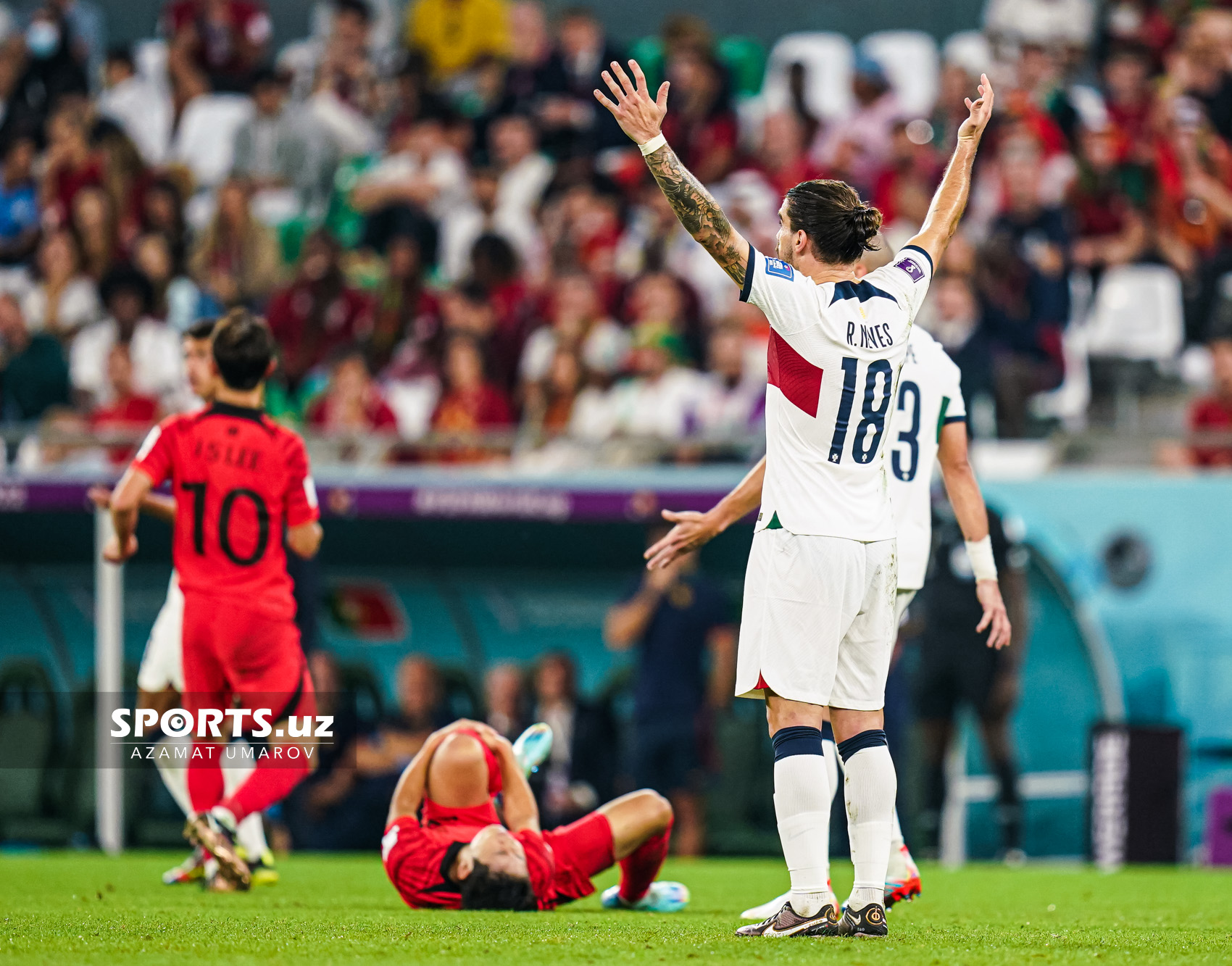 WC Korea Republic vs Portugal