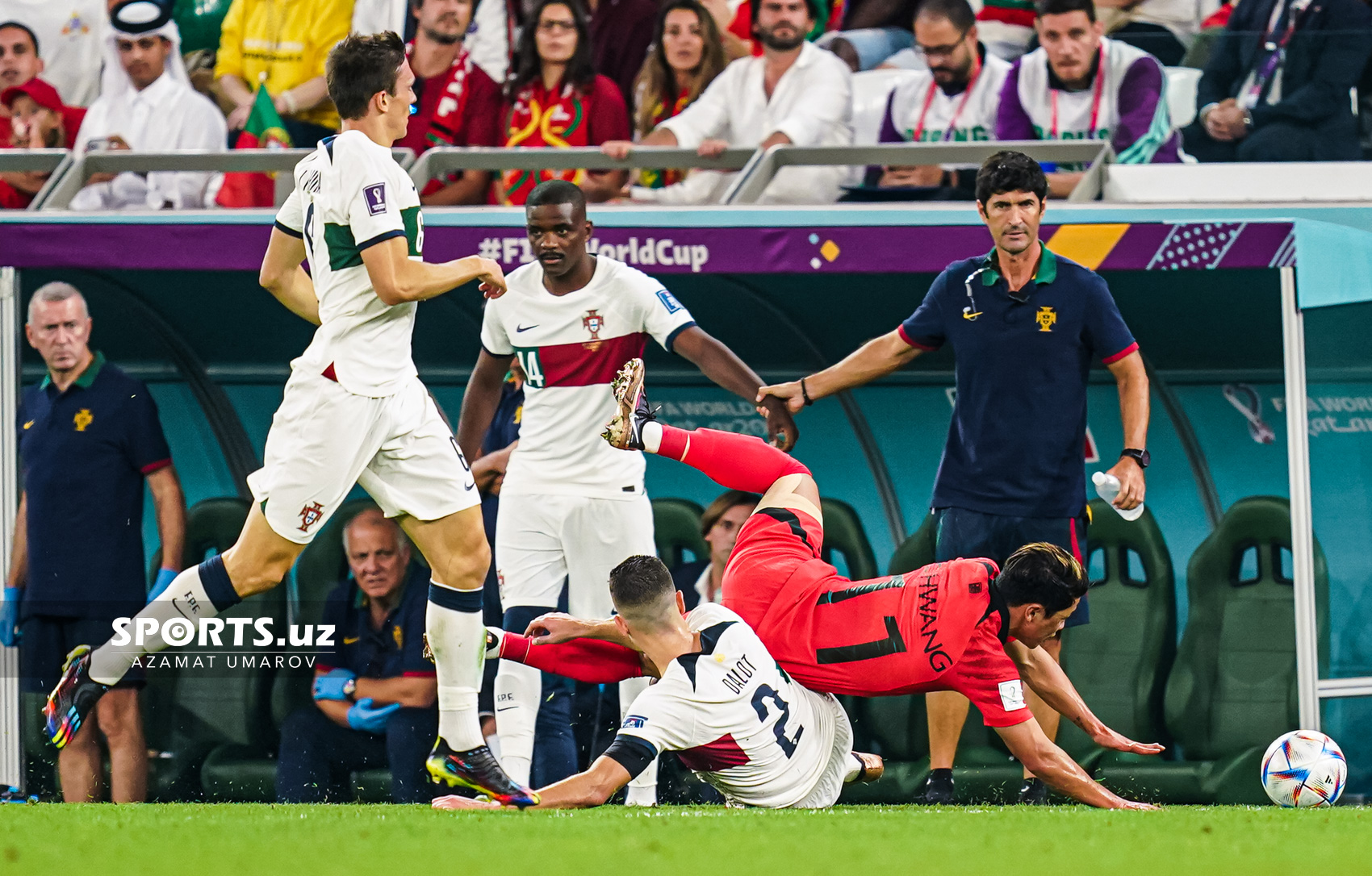 WC Korea Republic vs Portugal