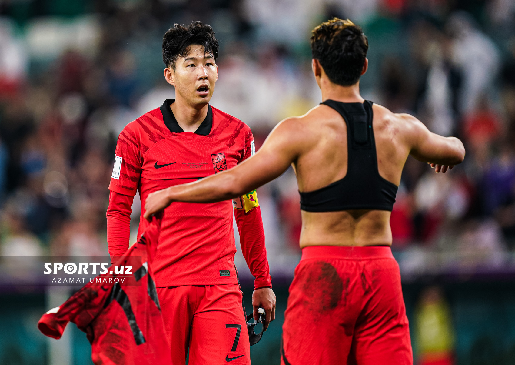WC Korea Republic vs Portugal