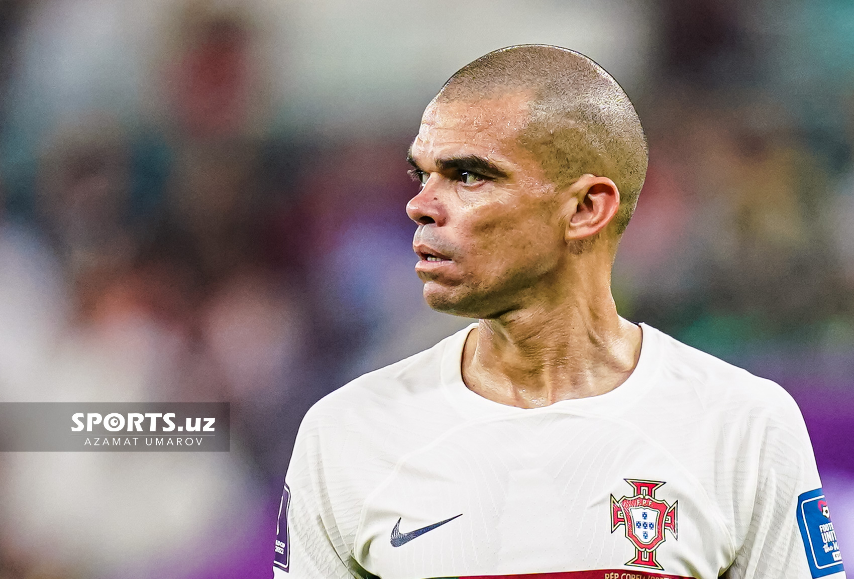 WC Korea Republic vs Portugal