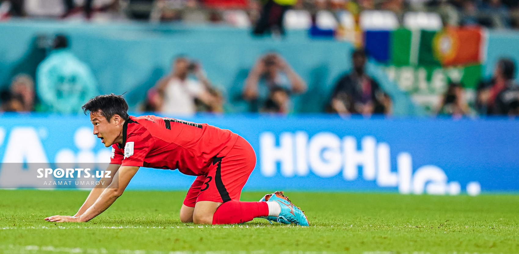 WC Korea Republic vs Portugal