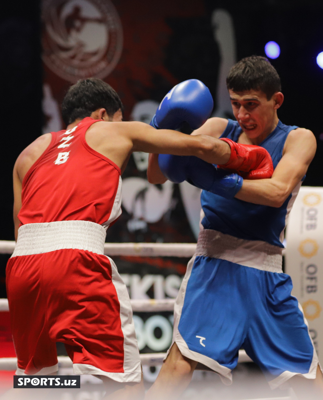 Boks. O'zbekiston chempionati yarim final