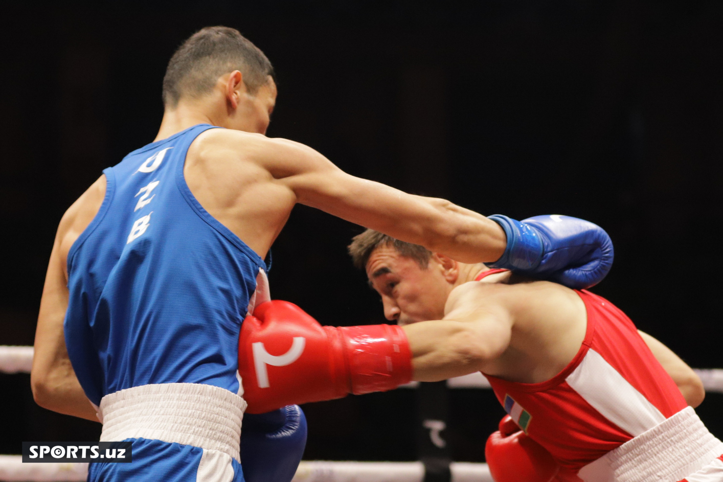 Boks. O'zbekiston chempionati yarim final
