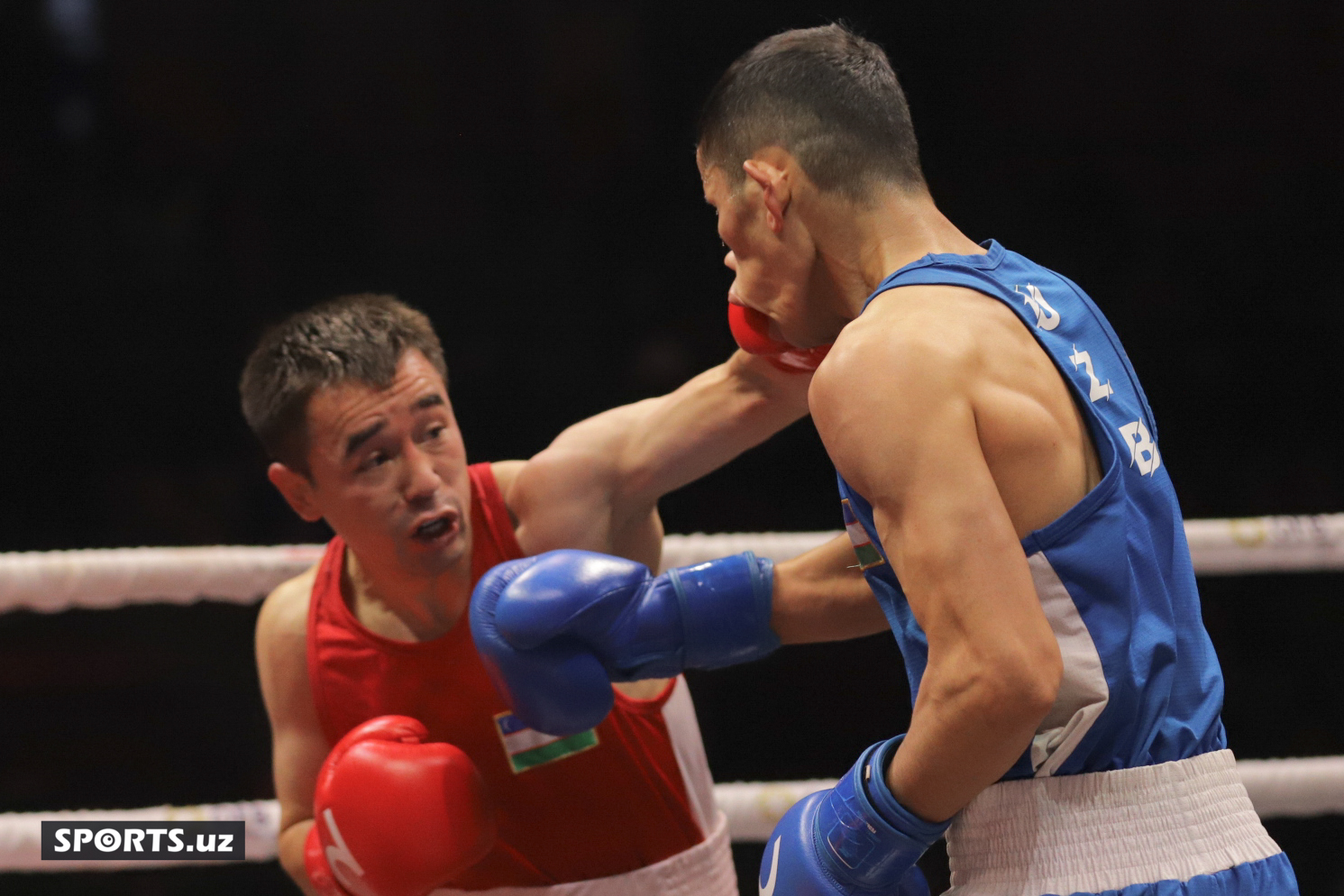 Boks. O'zbekiston chempionati yarim final