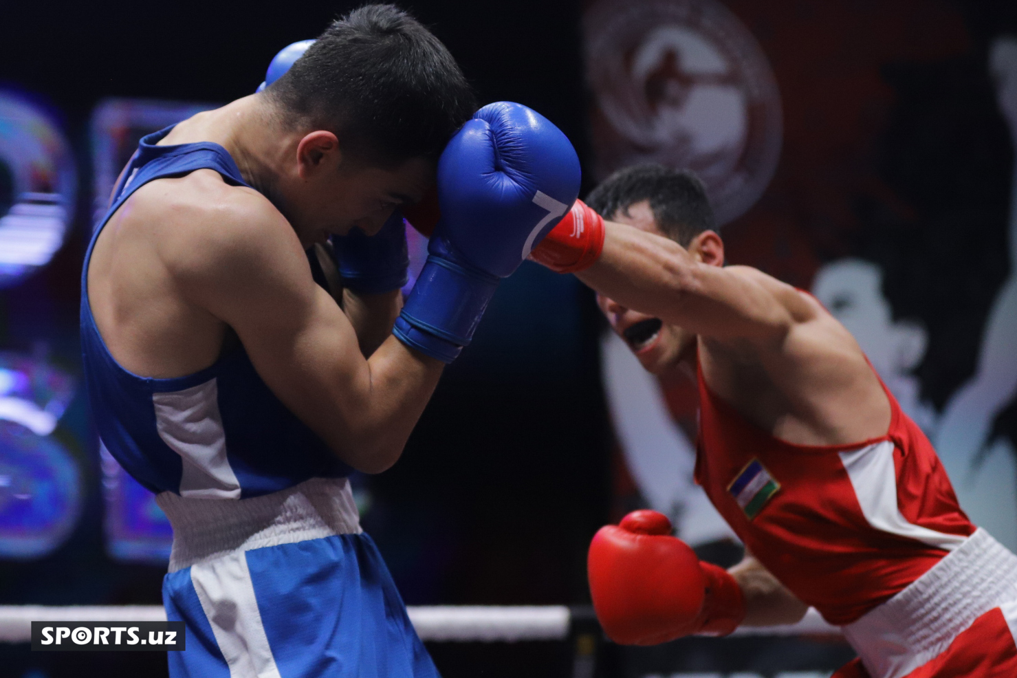 Boks. O'zbekiston chempionati yarim final