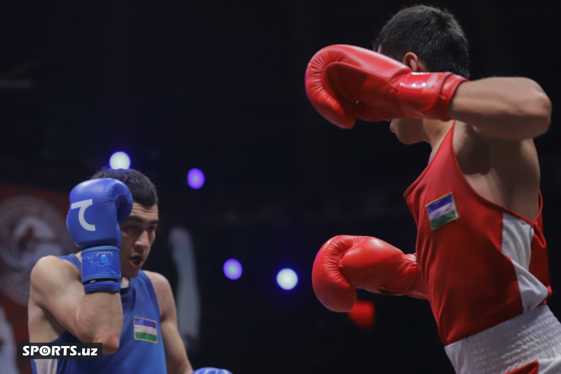 Boks. O'zbekiston chempionati yarim final