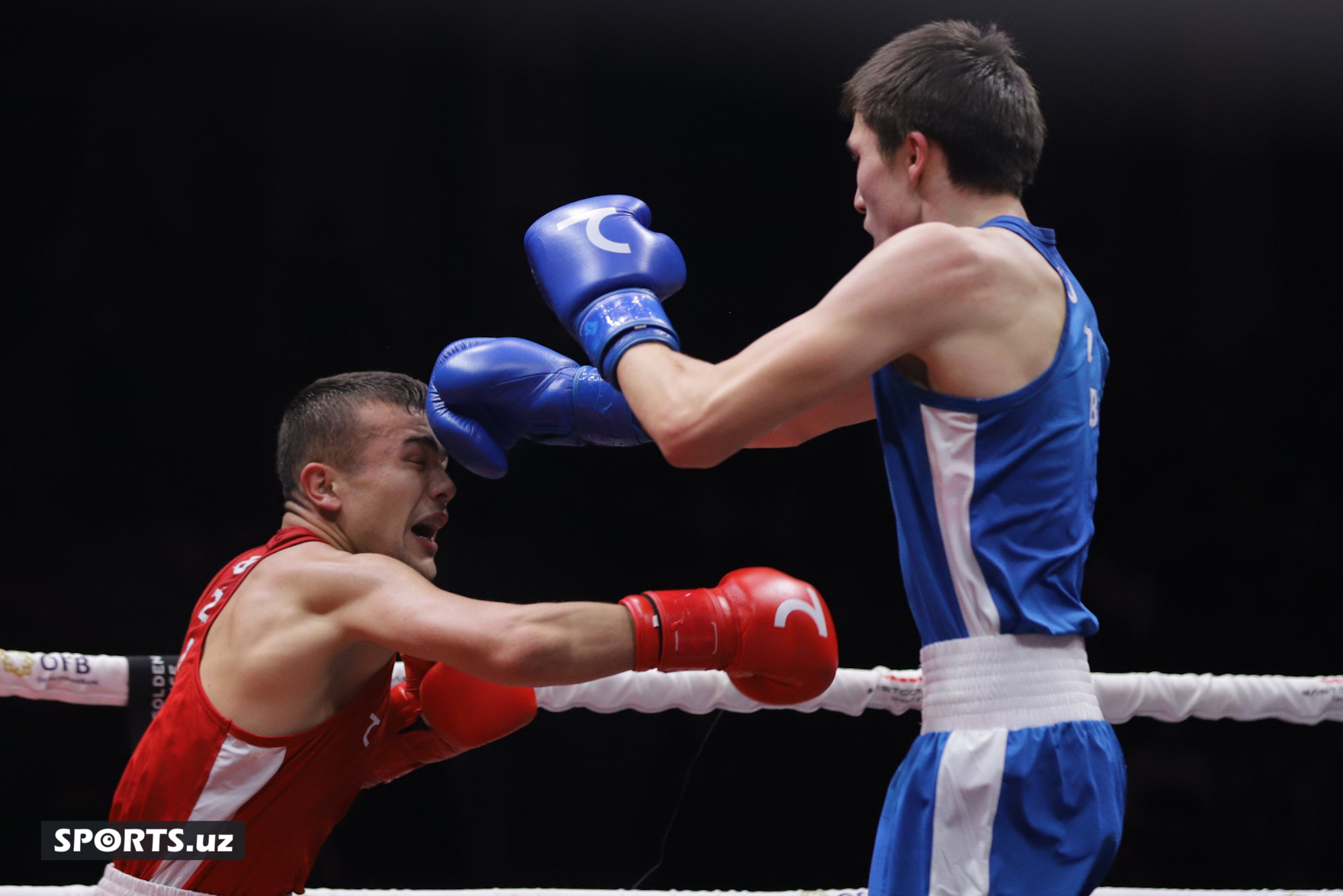 Boks. O'zbekiston chempionati yarim final