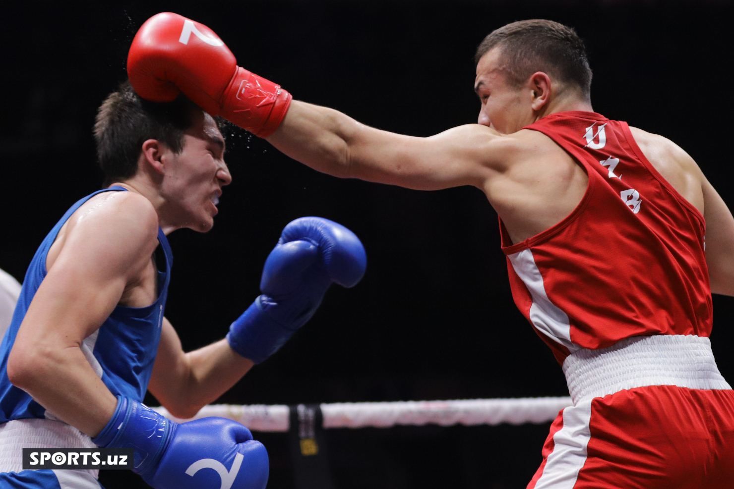 Boks. O'zbekiston chempionati yarim final