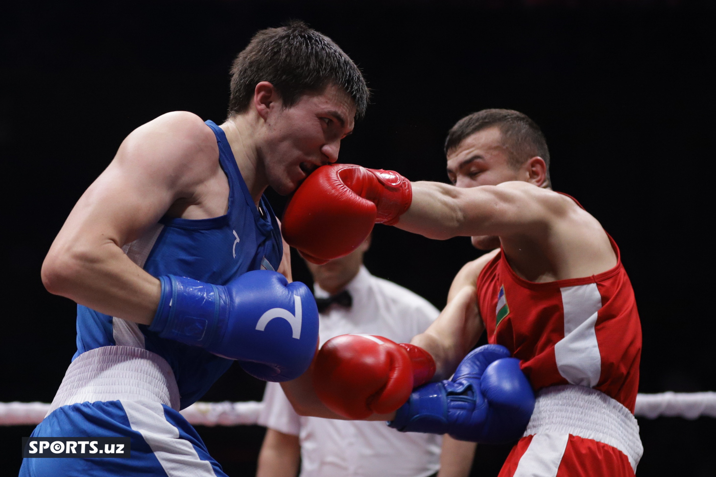 Boks. O'zbekiston chempionati yarim final