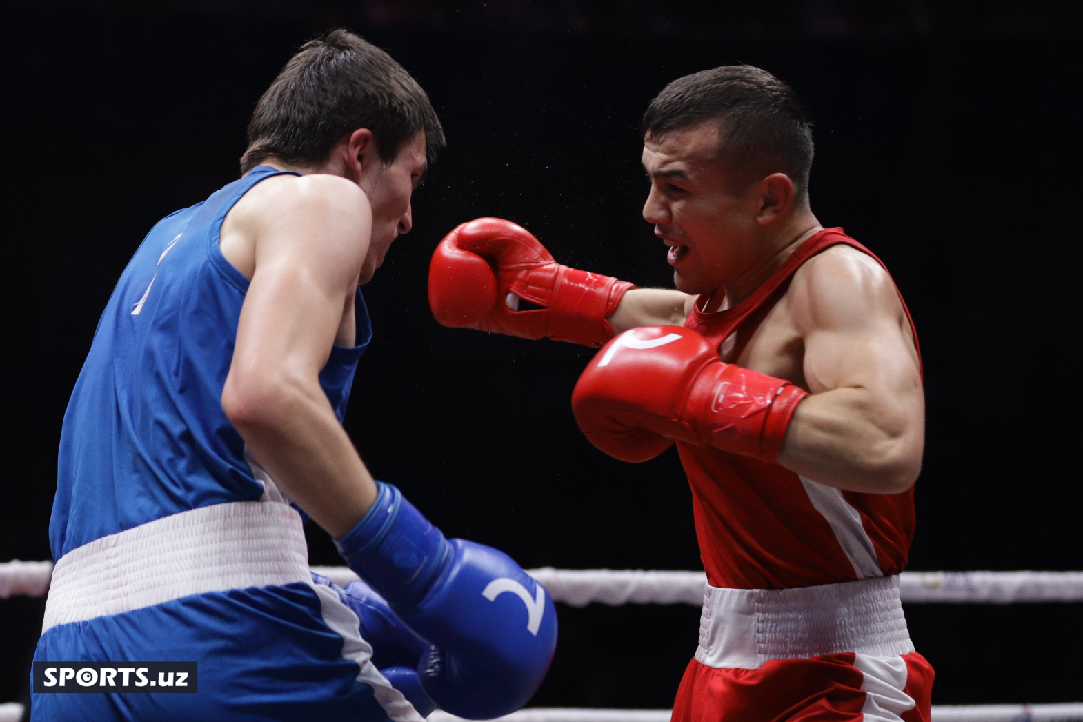 Boks. O'zbekiston chempionati yarim final