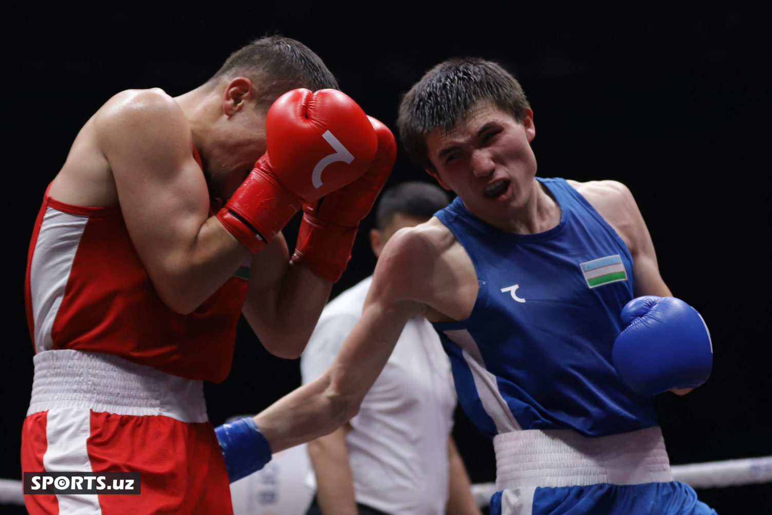 Boks. O'zbekiston chempionati yarim final