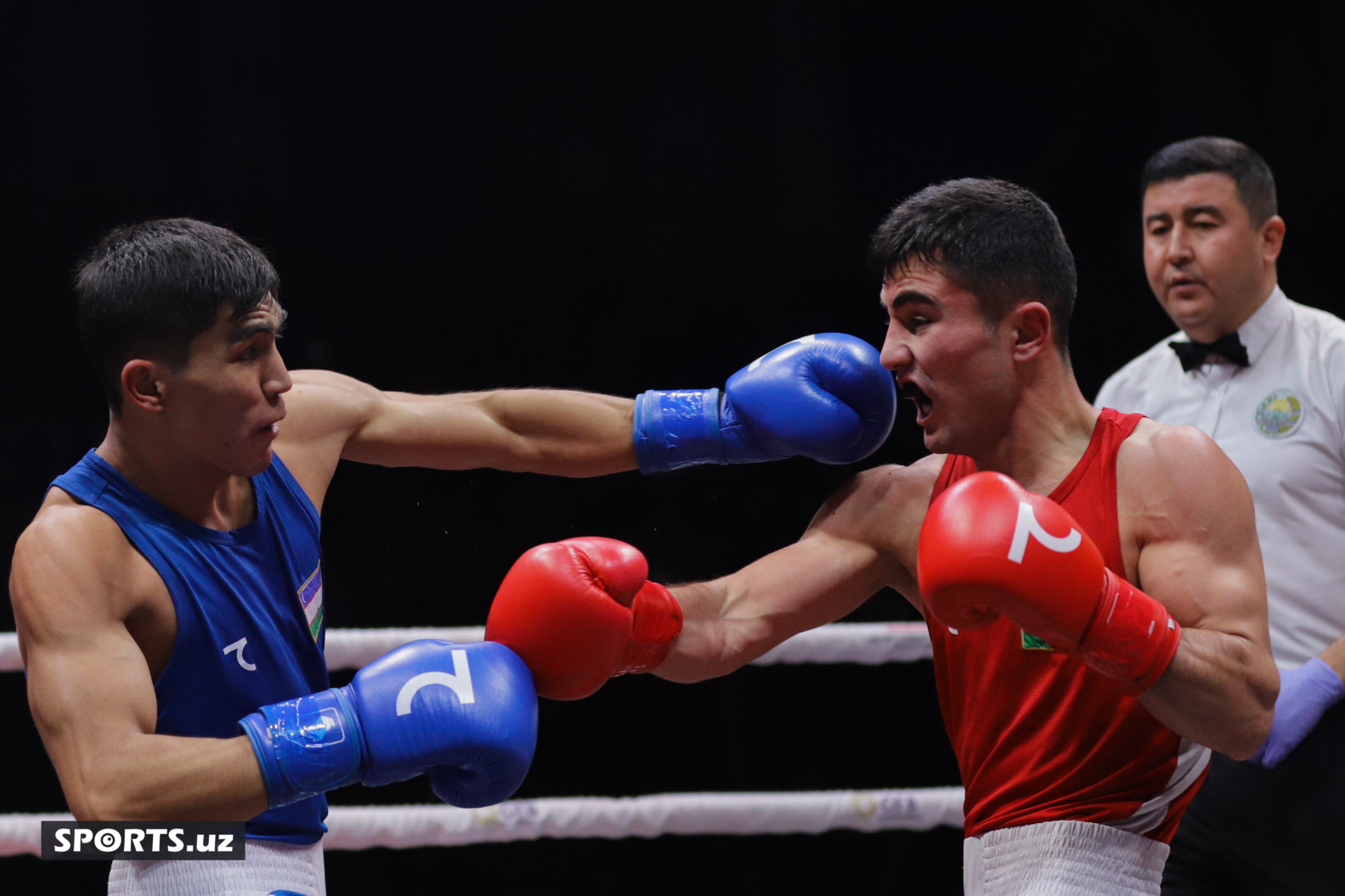 Boks. O'zbekiston chempionati yarim final
